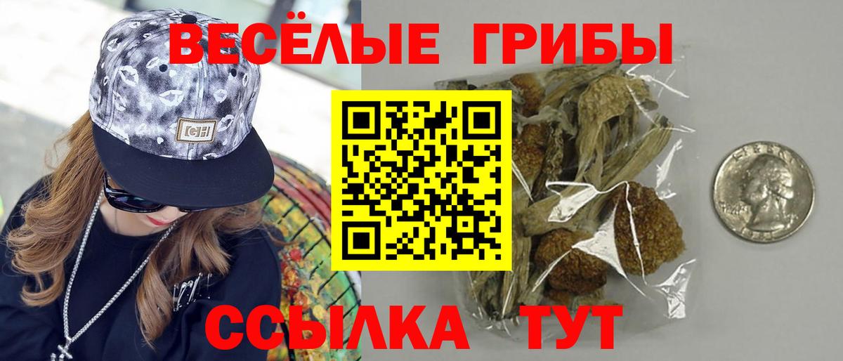 Псилоцибиновые грибы GOLDEN TEACHER Балашиха